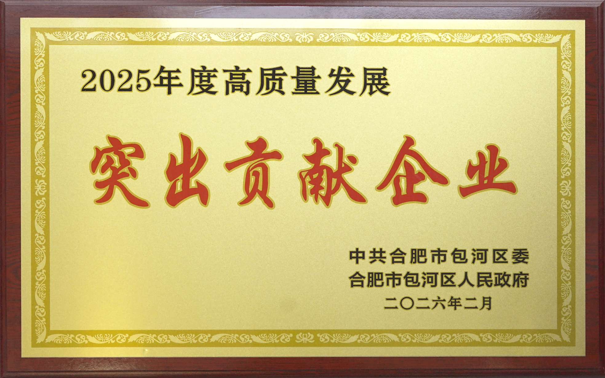 喜报|冰球突破荣获包河区“高质量发展凸起贡献企业”